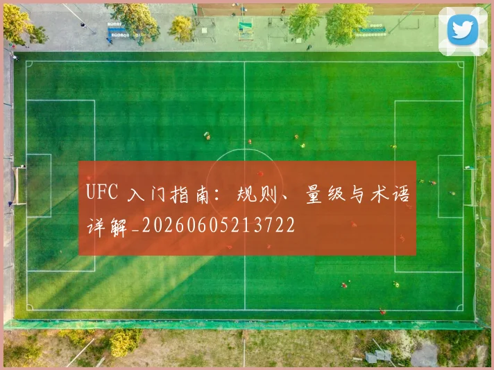 UFC 入门指南:规则、量级与术语详解_20260605213722