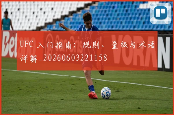 UFC 入门指南:规则、量级与术语详解_20260603221158